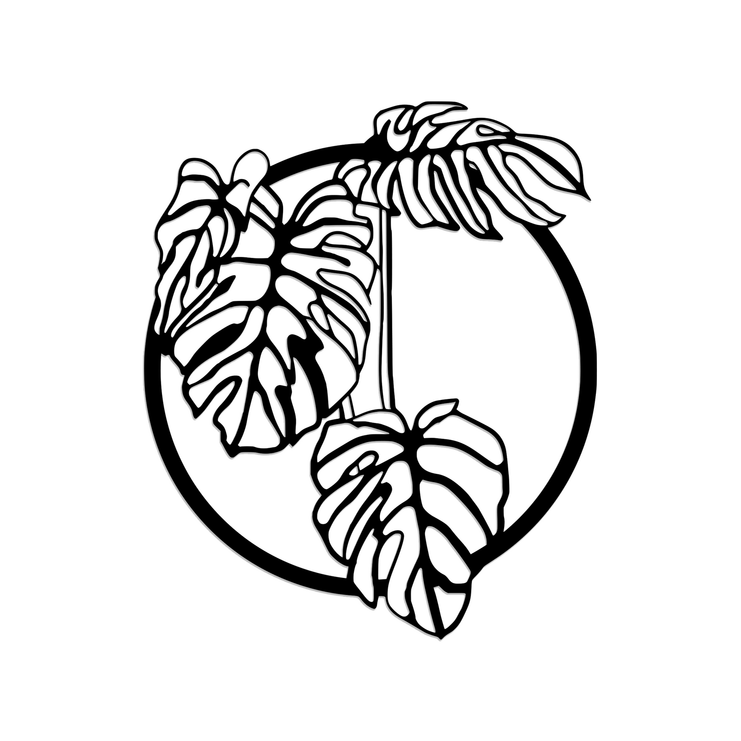 Monstera