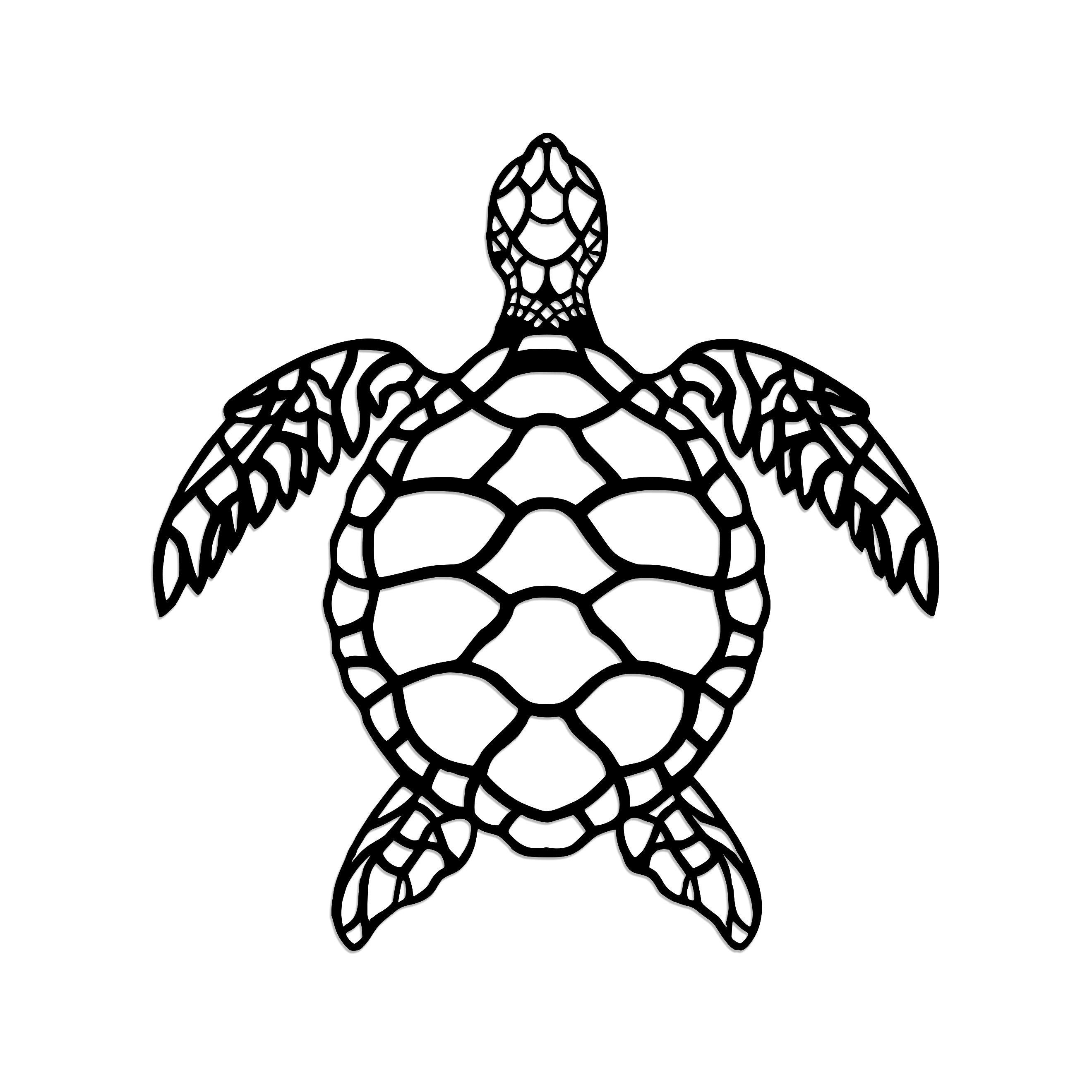 Geometric Turtle