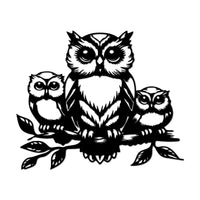 Metal Frame - Owls