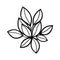 Florene
