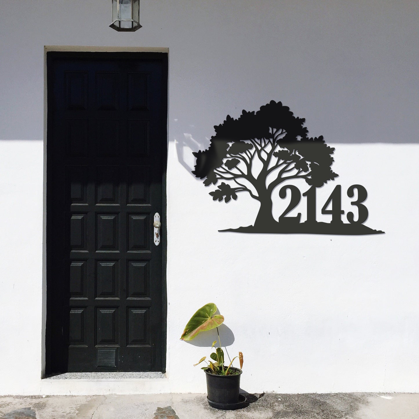 Oak Address