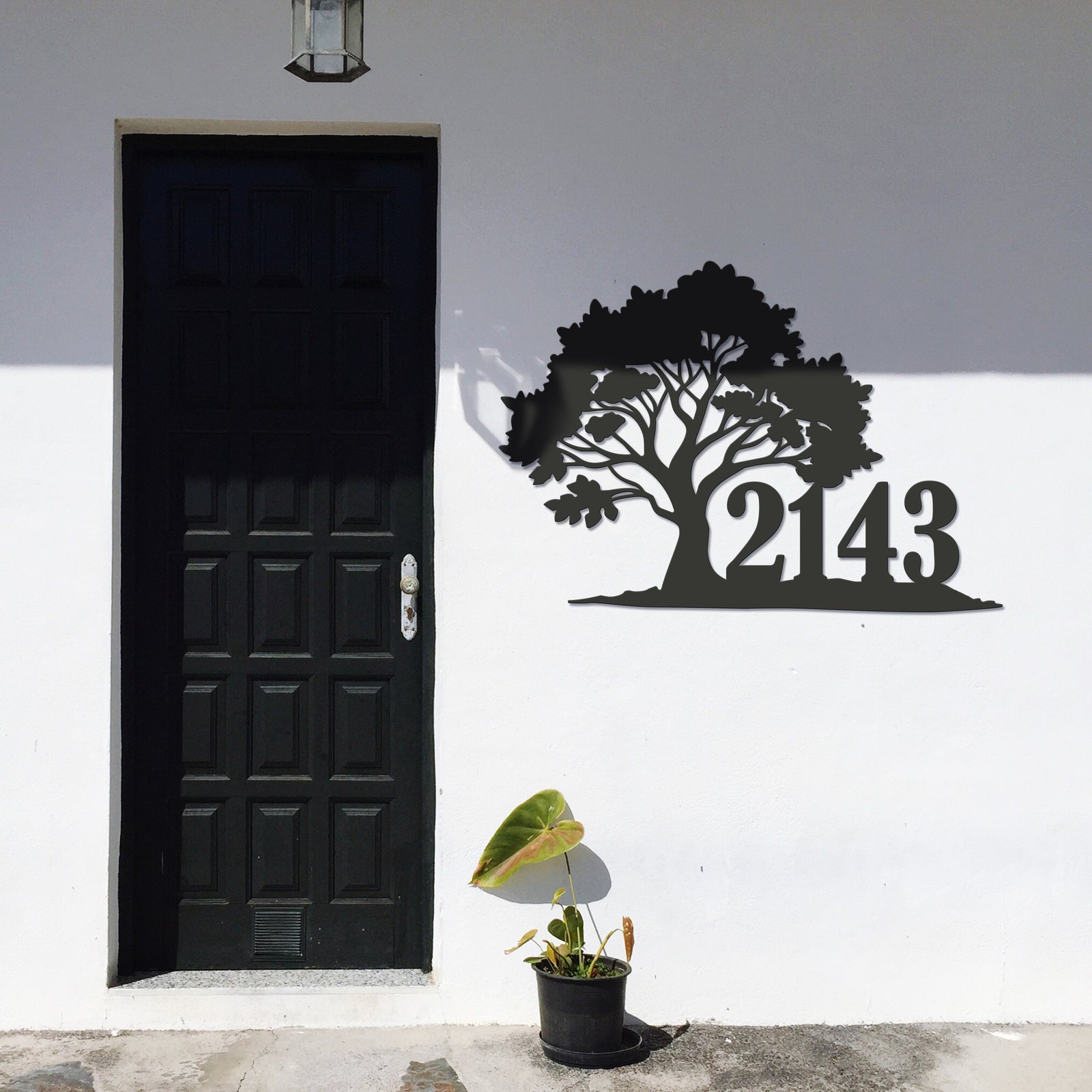 Oak Address
