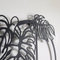 Monstera