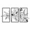 Lilium