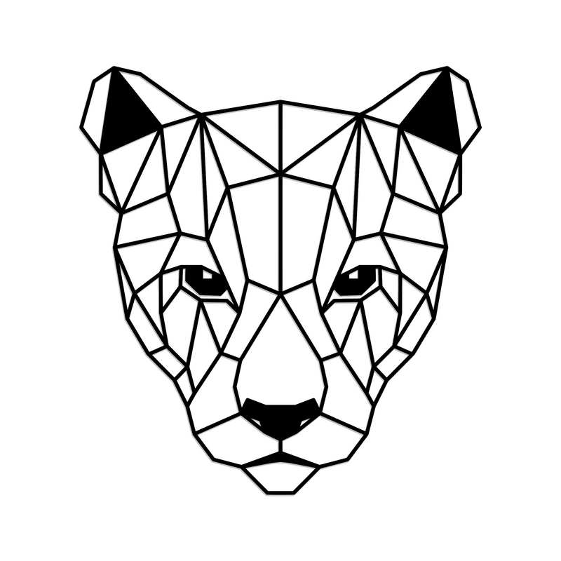 Geometric Puma