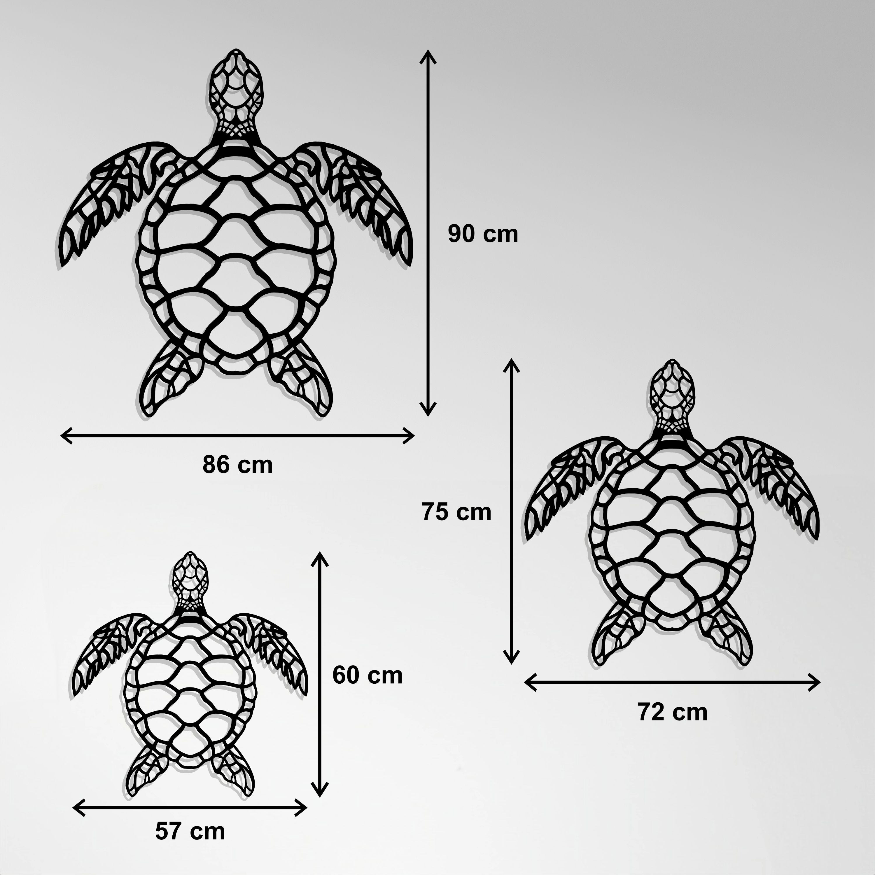 Cuadro Metálico - Turtle