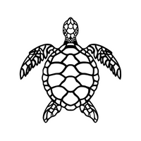 Geometric Turtle 