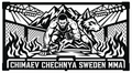 Cuadro metálico MMA Khamzat Chimaev Chechenia/Suecia - Stracci Cards - CHIMAEV CHECHENIA SUECIA MMA