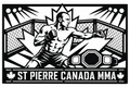 Cuadro metálico MMA Georges St-Pierre Canadá - Stracci Cards - ST-PIERRE CANADÁ MMA