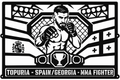 Cuadro metálico MMA Ilia Topuria - Stracci Cards - TOPURIA - SPAIN/GEORGIA - MMA FIGHTER