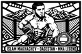 Cuadro metálico MMA Islam Makhachev estilo corte metálico no oficial