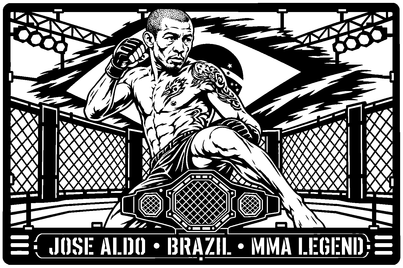 Cuadro metálico MMA Jose Aldo - Stracci Cards
