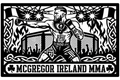 Cuadro metálico MMA McGregor Irlanda - Stracci Cards - MCGREGOR IRELAND MMA