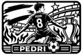 Cuadro metálico Mundial 2026 Pedri España
