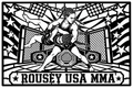 Cuadro metálico MMA Ronda Rousey Estados Unidos - Stracci Cards - ROUSEY USA MMA