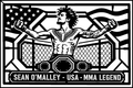 Sean O'Malley USA cuadro metálico MMA Stracci