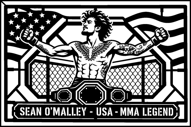 Sean O'Malley USA cuadro metálico MMA Stracci