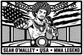 Cuadro metálico MMA Sean O'Malley estilo corte metálico no oficial