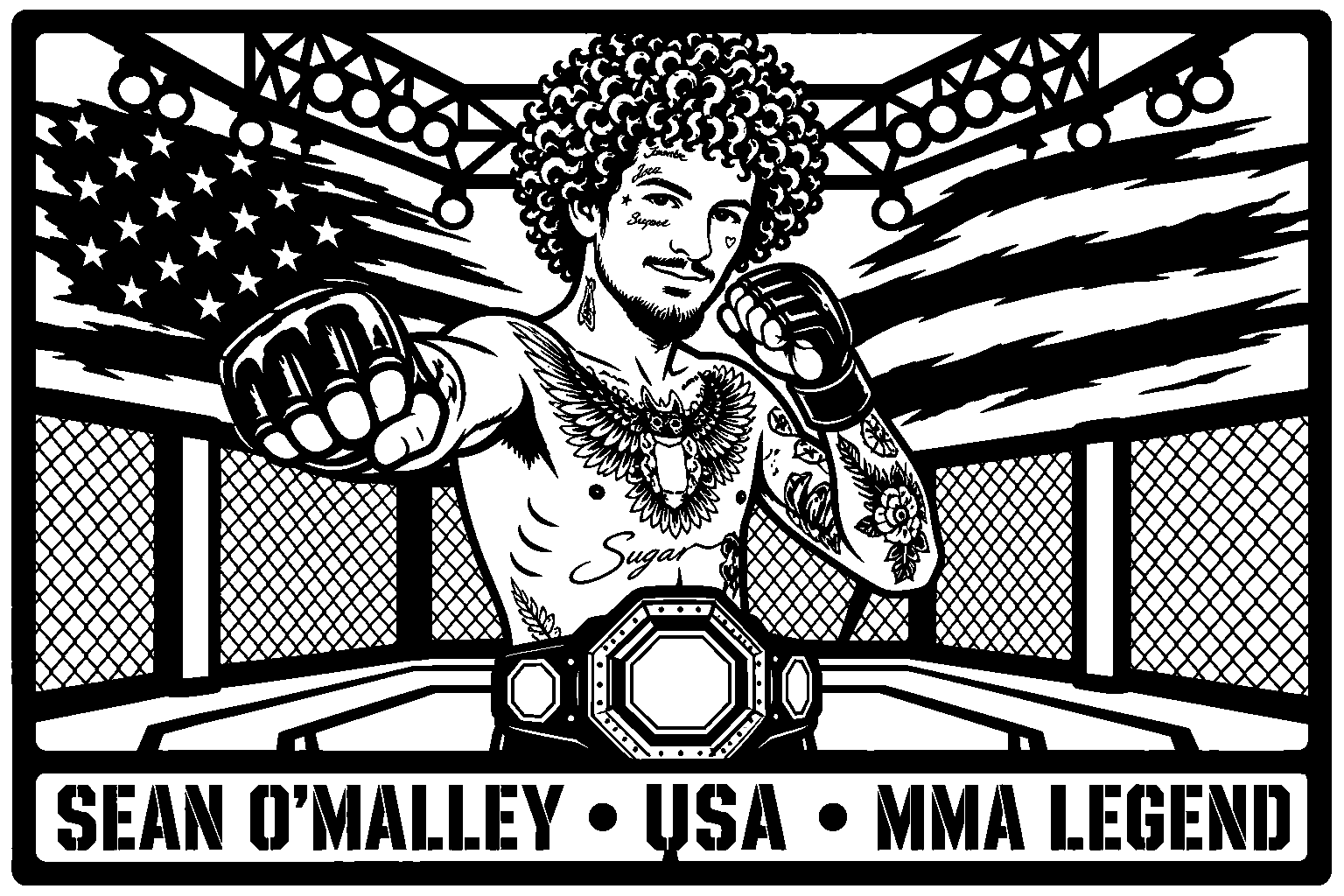 Cuadro metálico MMA Sean O'Malley - Stracci Cards