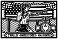 Cuadro metálico MMA Sean O'Malley - Stracci Cards - O'MALLEY - UNITED STATES - MMA FIGHTER