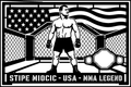 Stipe Miocic USA cuadro metálico MMA Stracci